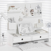 Store Hot PVC Pegboard Shelf Desktop Organizer Set for Storage Holders & Racks